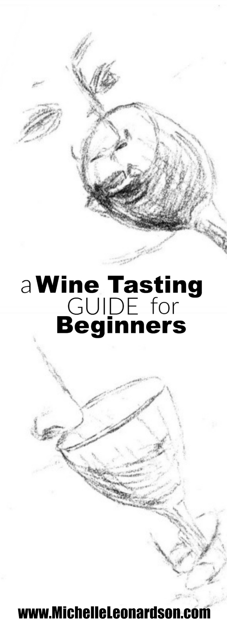 Intimidated by wine tasting? The ritual can seem overly complicated and drawn-out for those new to the experience. Enhance your next wine tasting with this guide because understanding the process will increase the lifetime enjoyment you receive from wine.