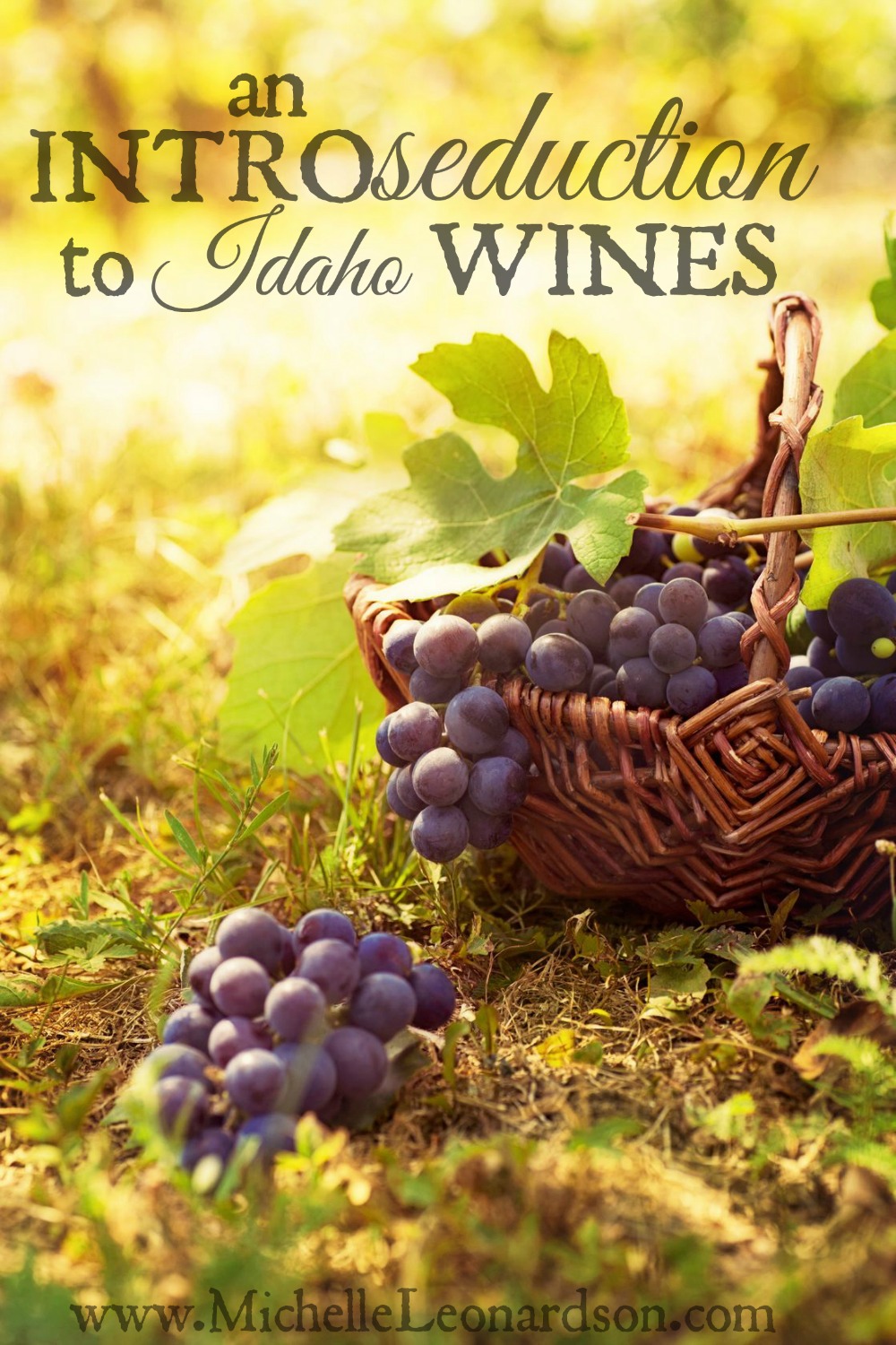 Let me intro–seduce–you to Idaho wines! The Idaho wine industry is growing and people are starting to notice. Find out more about this burgeoning wine industry and let me persuade you to to drink Idaho wine! 