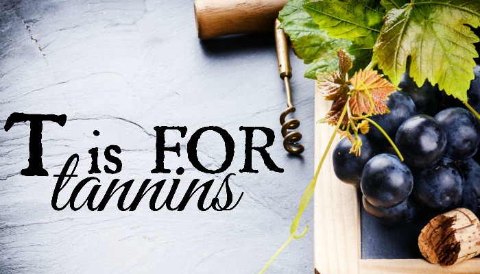 Understanding Tannins in Wine | T Is for Tannins
