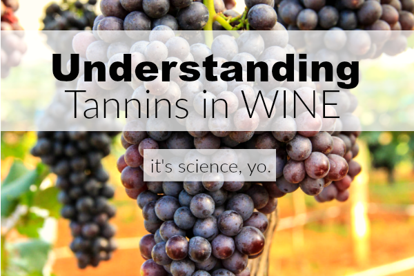 Understanding Tannins in Wine 