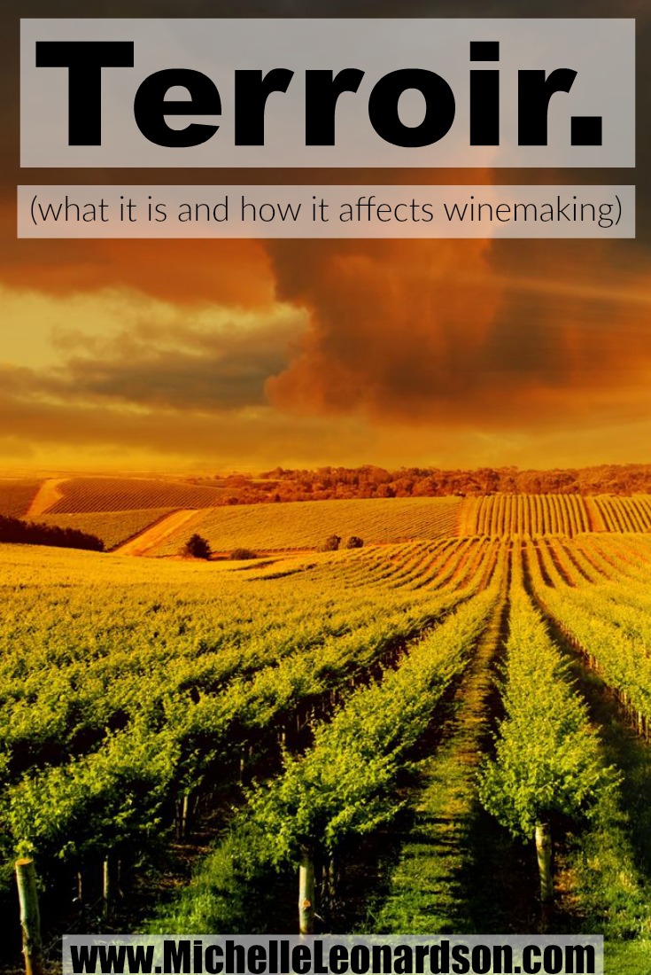 What is terroir? It is the environment in which grapes are grown; including in the soil, the sand, the climate and more! In this comprehensive guide, learn all about this commonly used term and critical concept within the wine community. 
