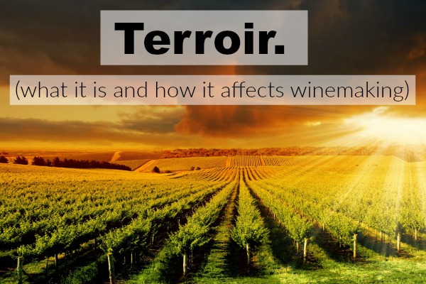 The Topic of Terroir