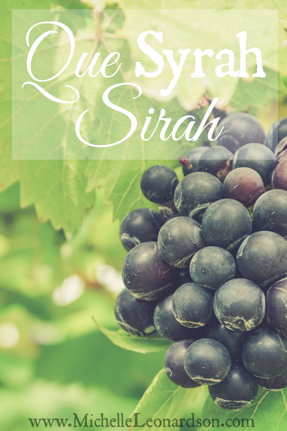 What makes Syrah different from Petite Sirah? In this informative post, find out about the characteristics that these two distinct and different (and delicious!) grape varietals have and what sets them apart from each other.