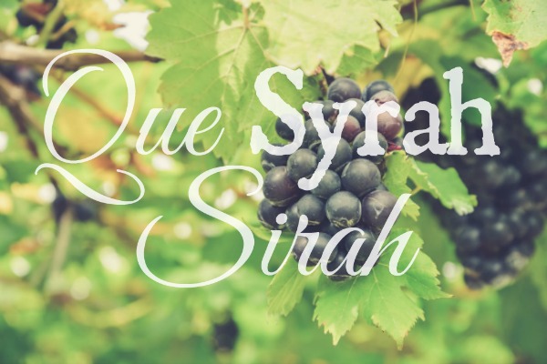 The Difference Between Syrah and Petite Sirah