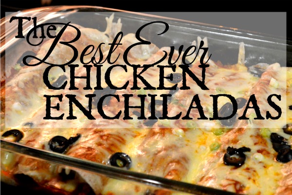 Best Chicken Enchiladas Recipe