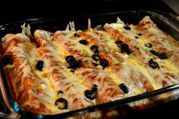 Best Chicken Enchiladas Recipe