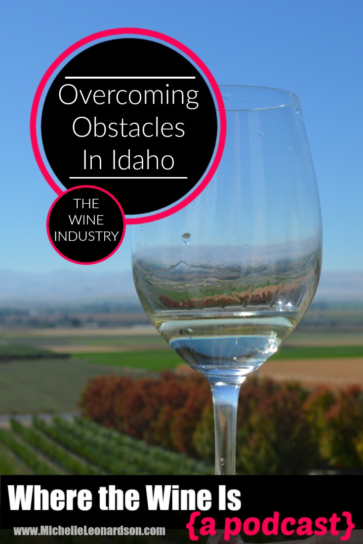 In this episode Michelle discusses four challenges that Idaho must respond to in order to compete in the global wine industry.